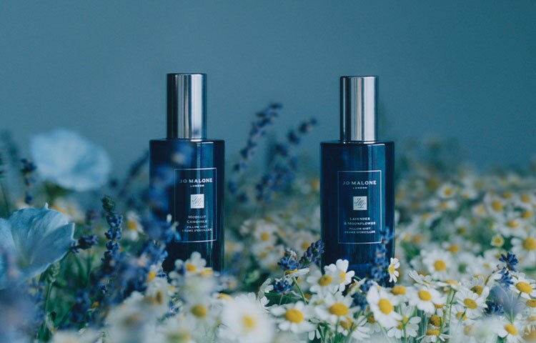 image of two night collection pillow mists surrounded by chamomile flowers